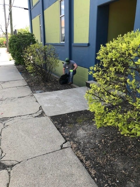 Sense Charter School Volunteer