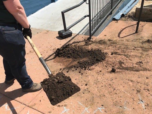 Shoveling Dirt Volunteer Sense Charter School