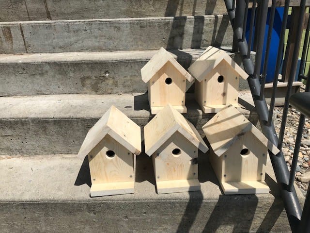 Bird Houses Sense Charter School