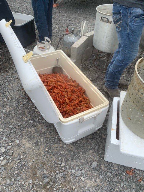 Cooler of Crawfish Hurricane ida