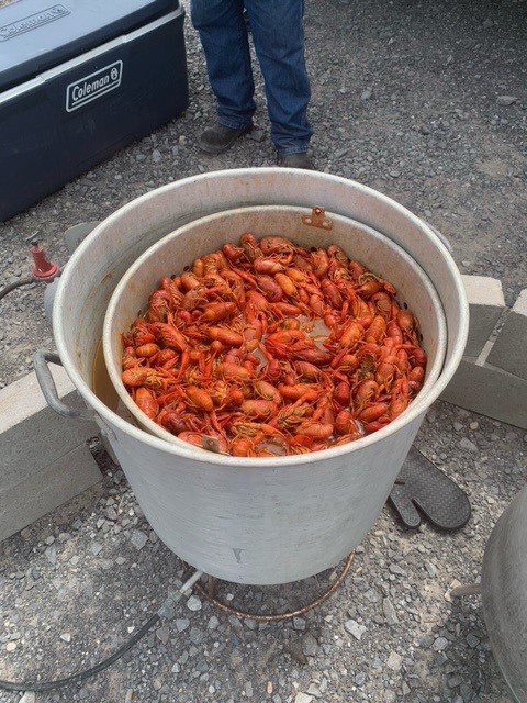 Bucket of Crawfish Hurricane Ida